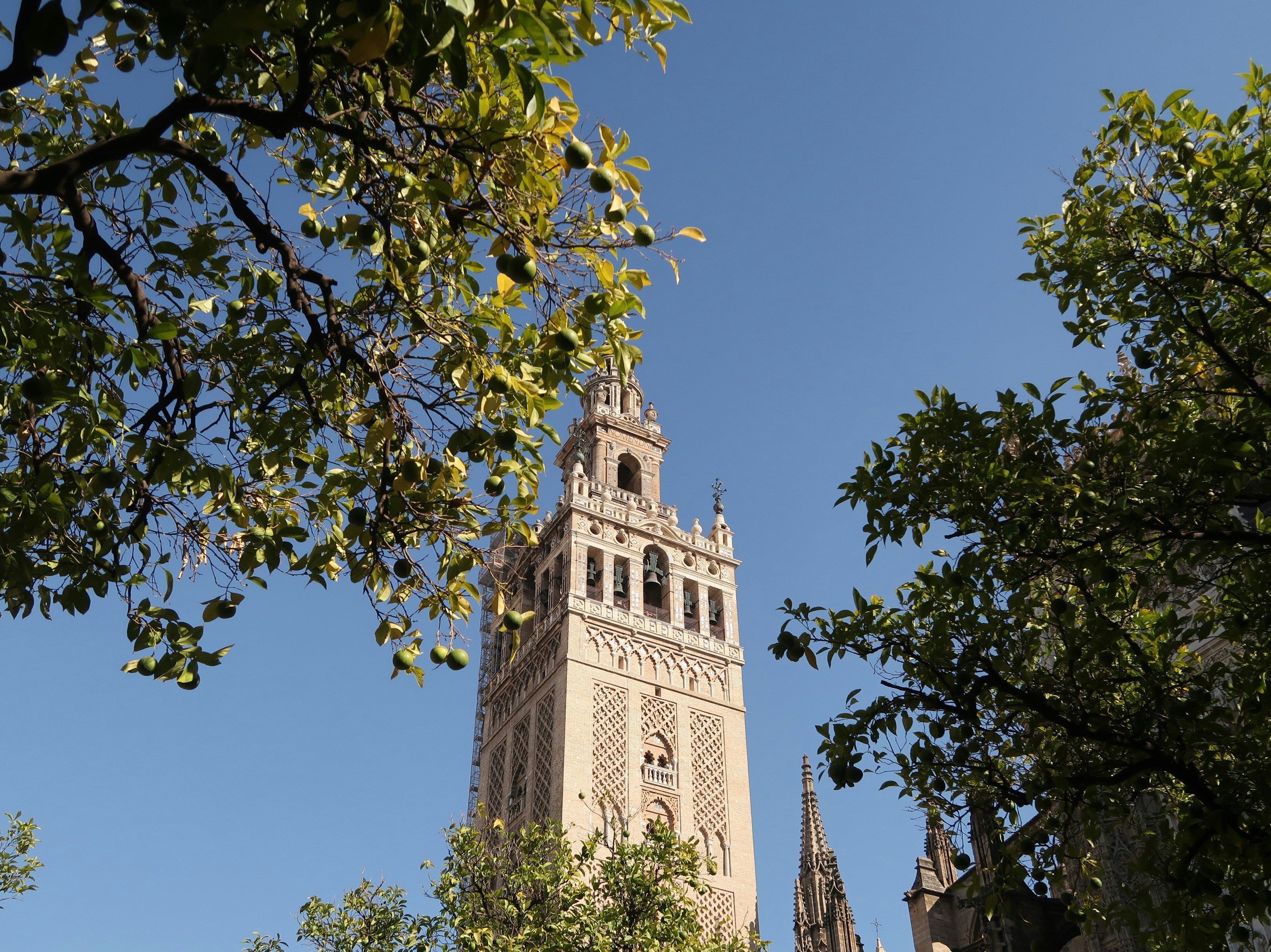 Photo by morning_dew_k