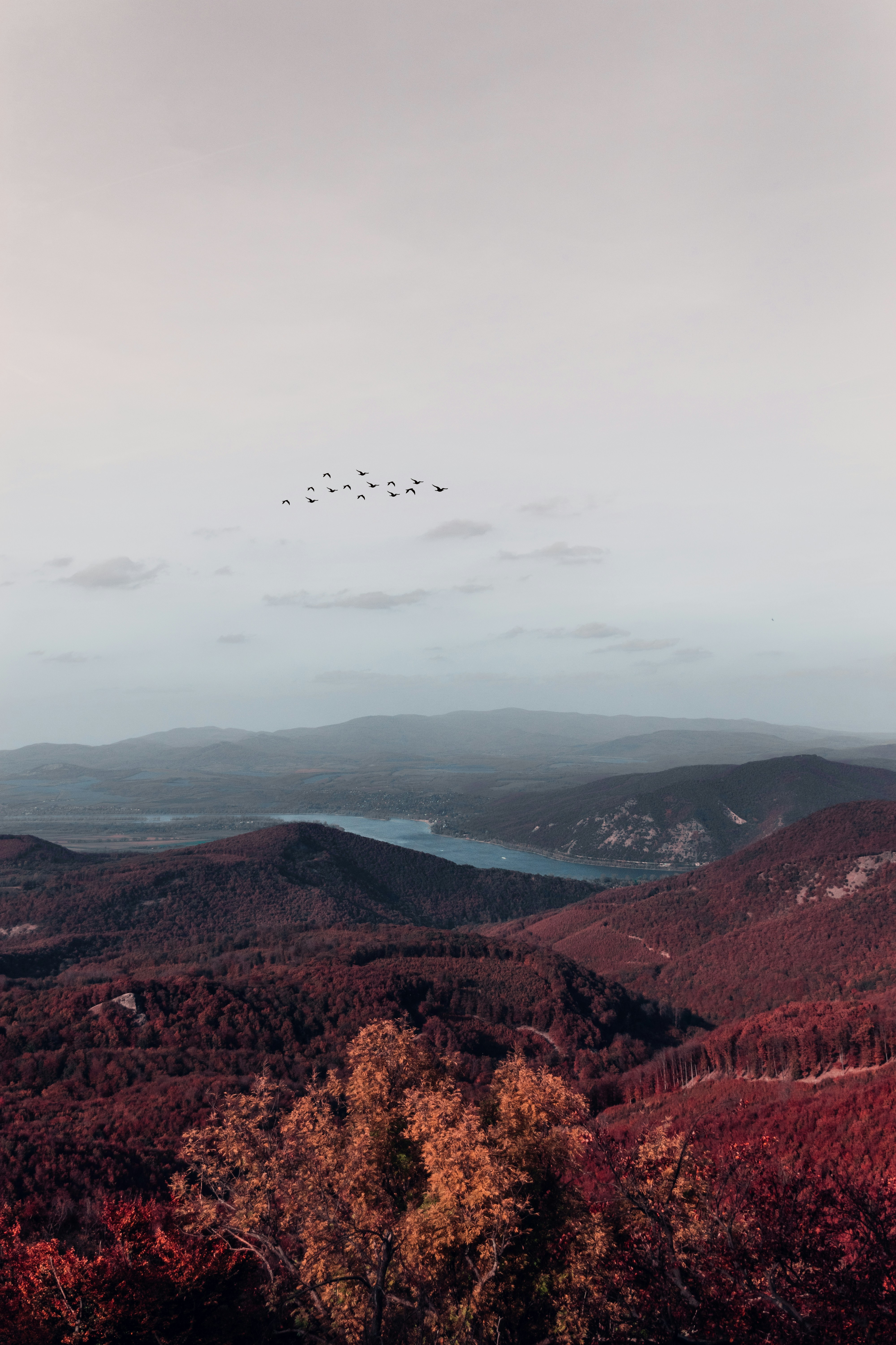 brown and white mountain painting