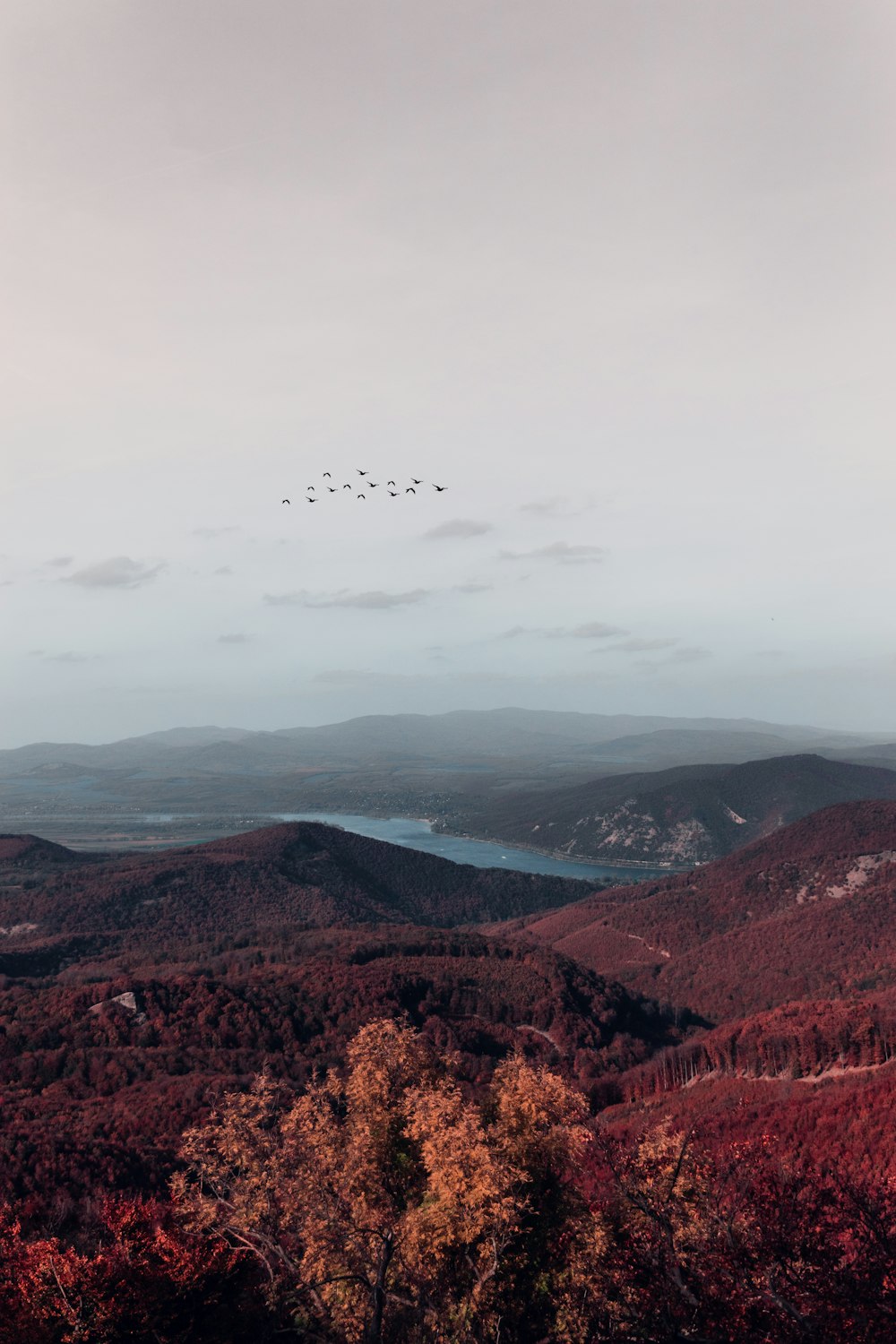 brown and white mountain painting