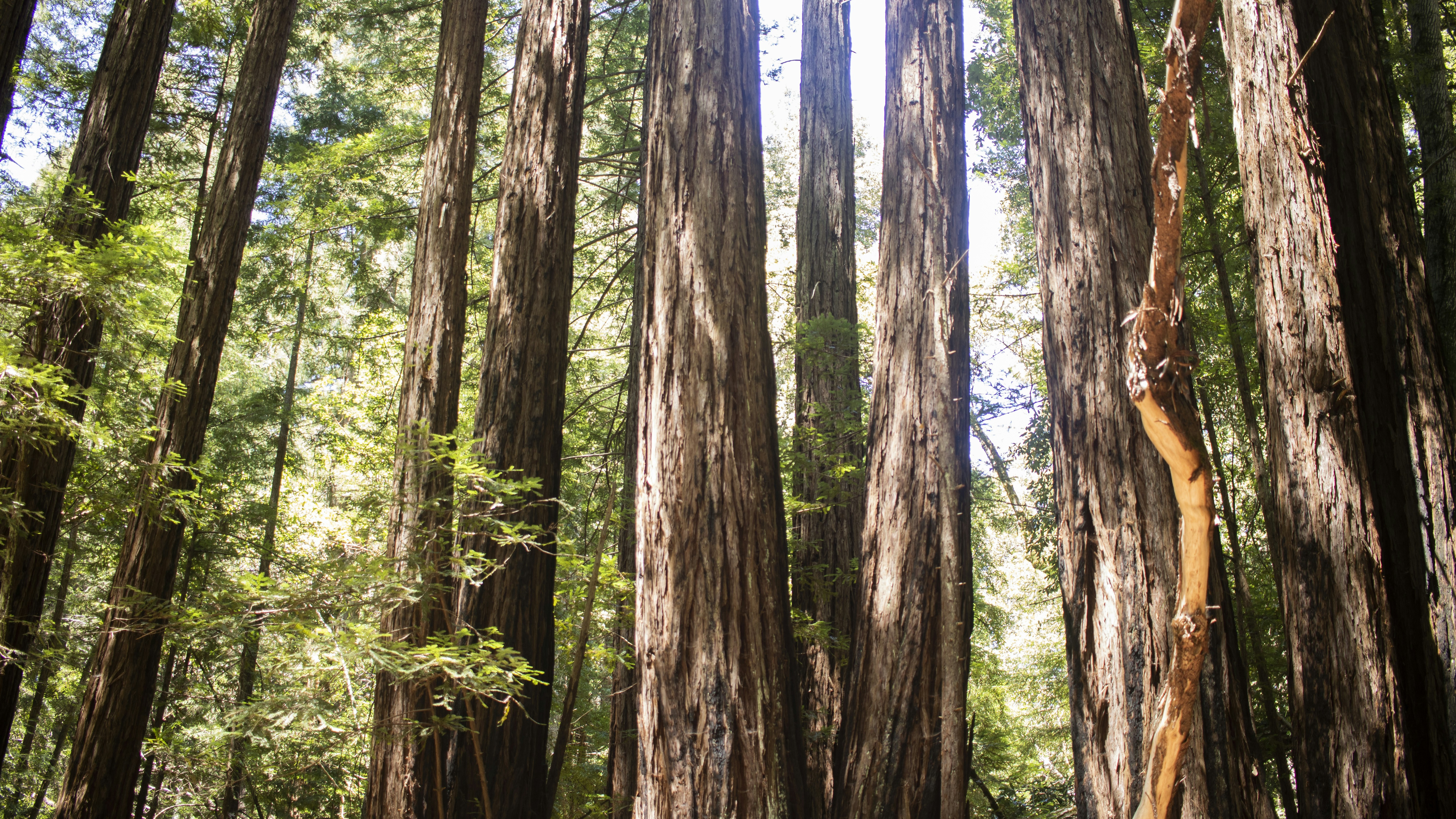 Photo by shawngmedia