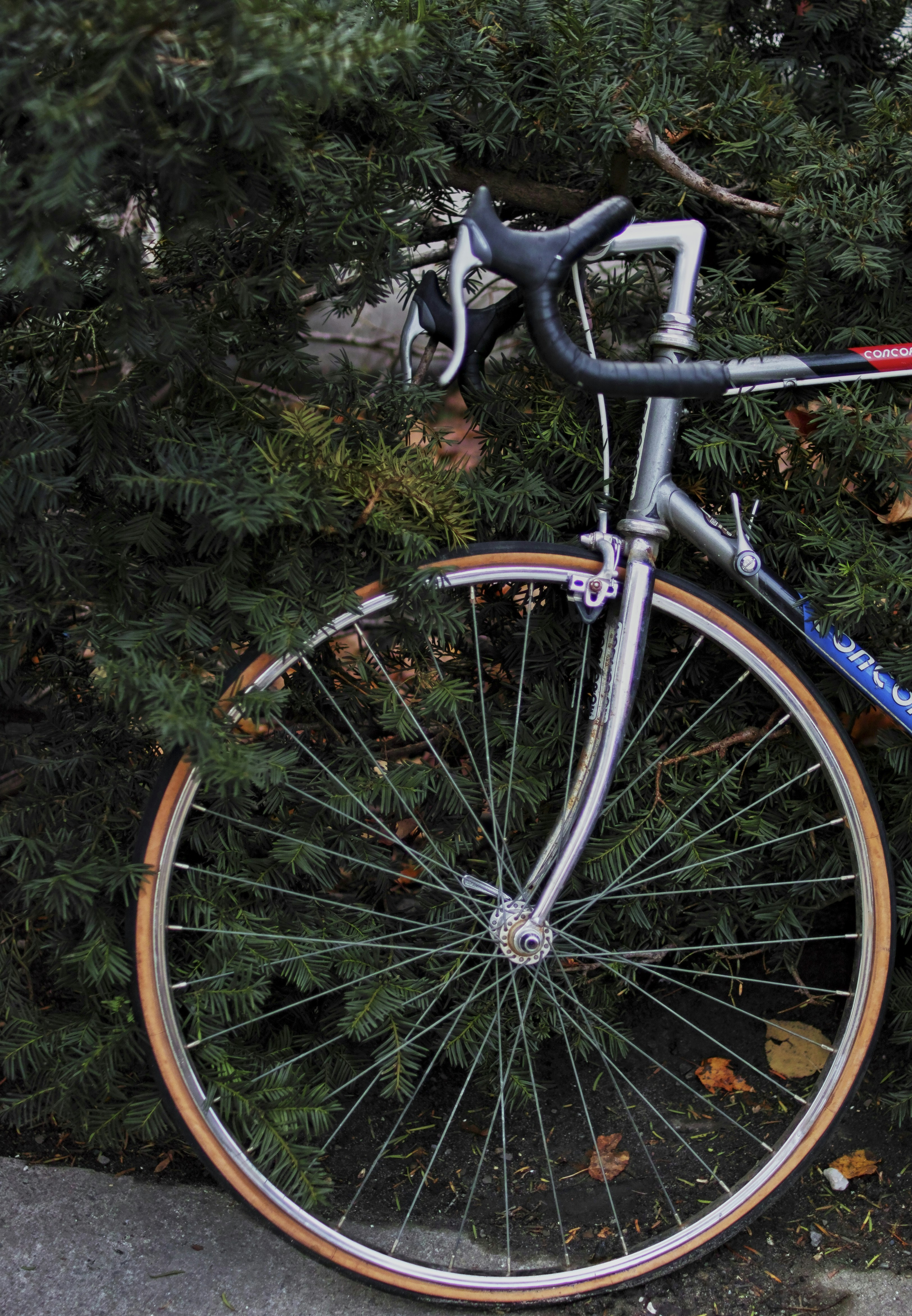 Photo by tristan_gevaux