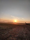 A serene sunrise over a quiet path symbolizing new spiritual beginnings.