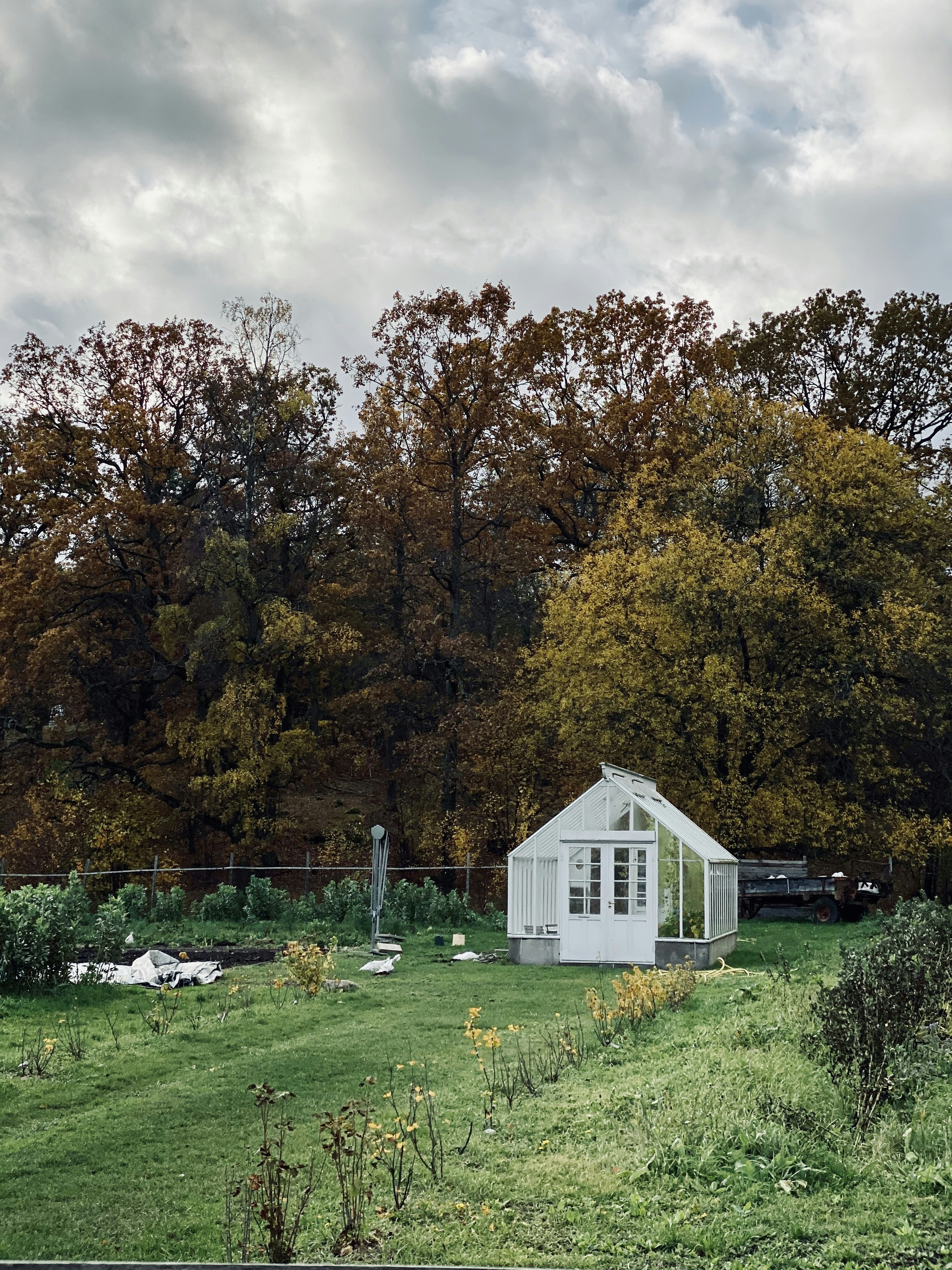 white and gray wooden house