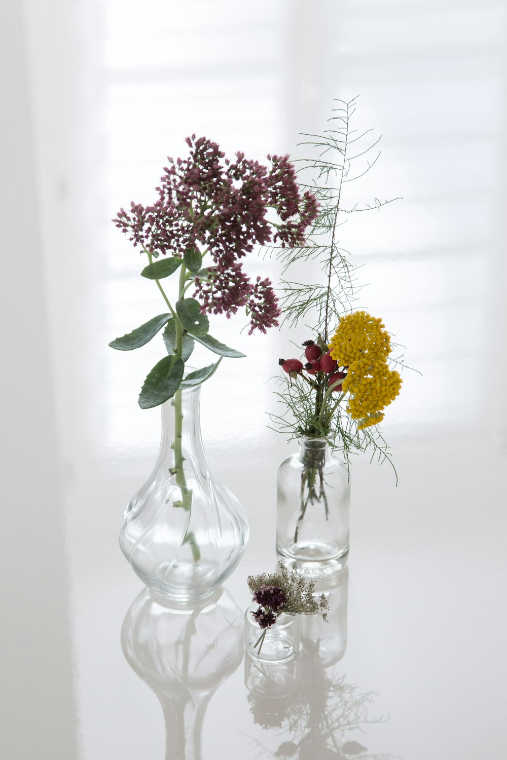 red and yellow petaled flowers