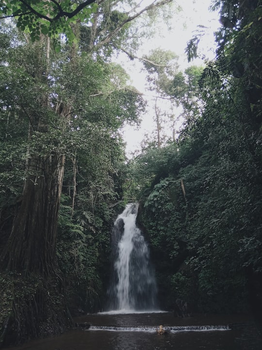 waterfalls between trees in Kuningan Indonesia