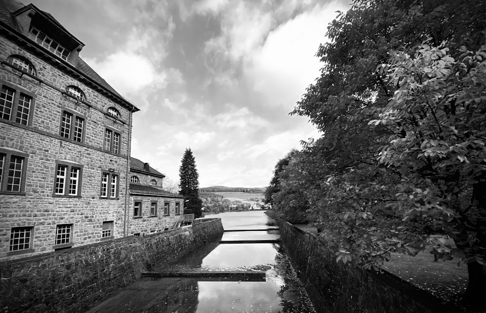 greyscale photography of trees and buildings