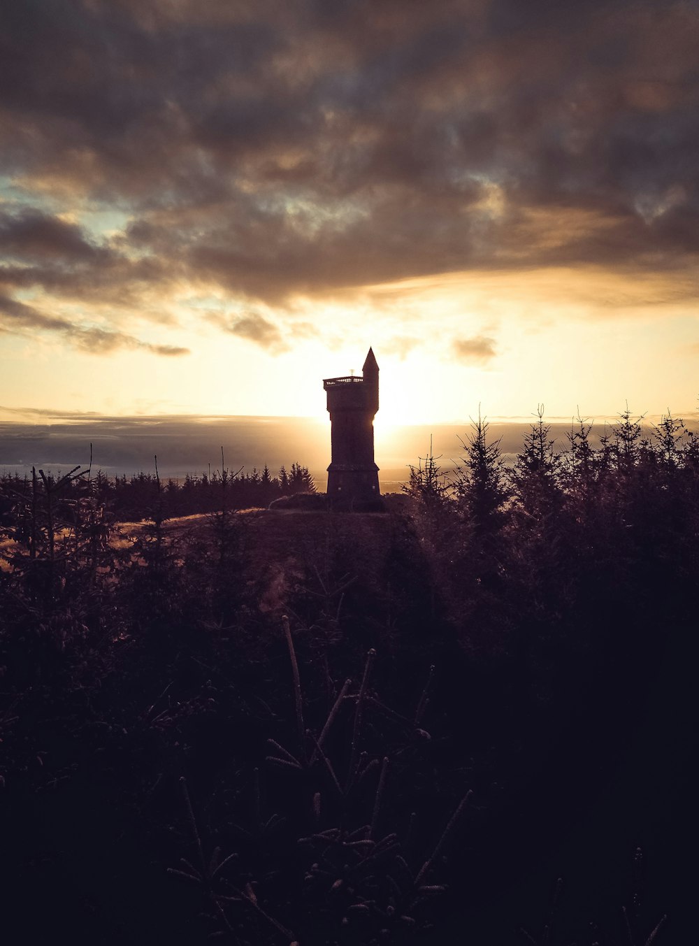 gray castle surrounded by tree