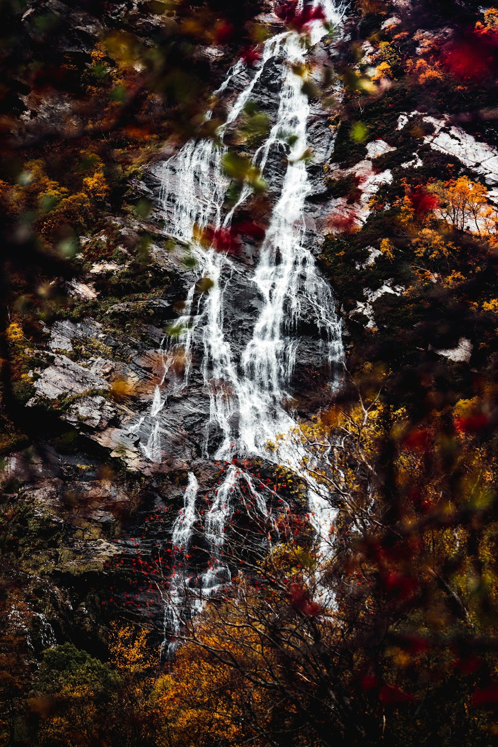 shallow focus photo of waterfalls