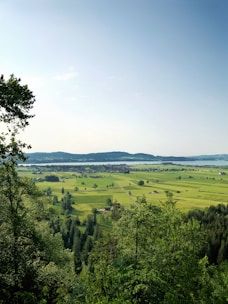 A scenic view of lush green farmland under a clear blue sky.