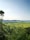 A scenic view of lush farmland under a clear blue sky.