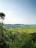 A scenic view of lush farmland under a clear blue sky.