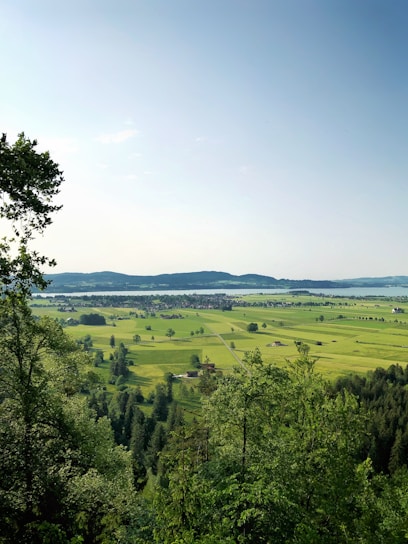 A scenic view of a Lithuanian landscape showcasing green fields and trees.