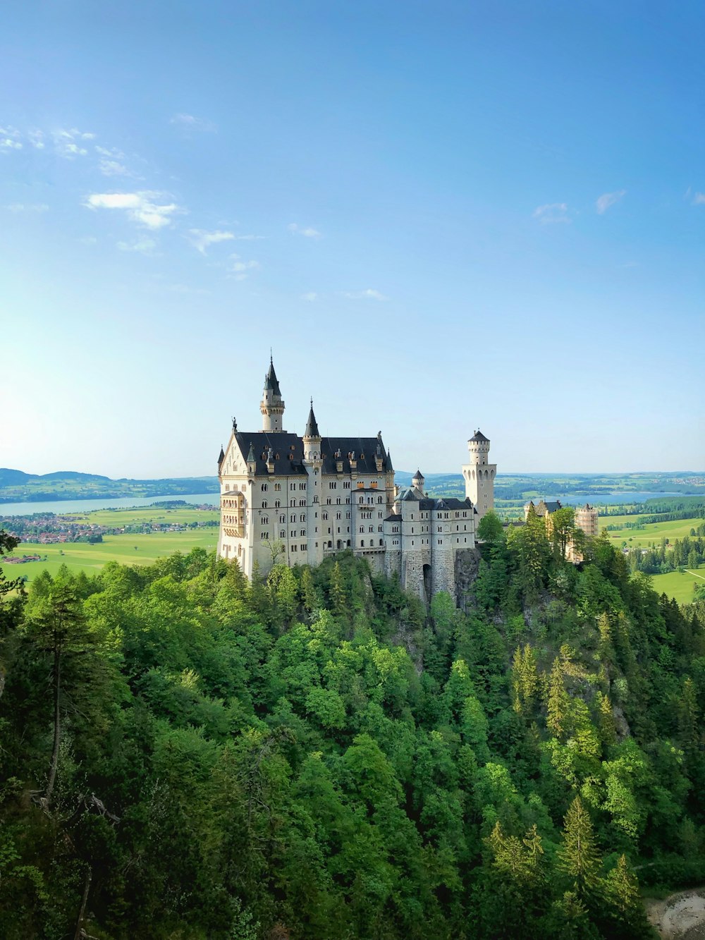 Weißes Schloss auf dem Gipfel des Berges, umgeben von Bäumen