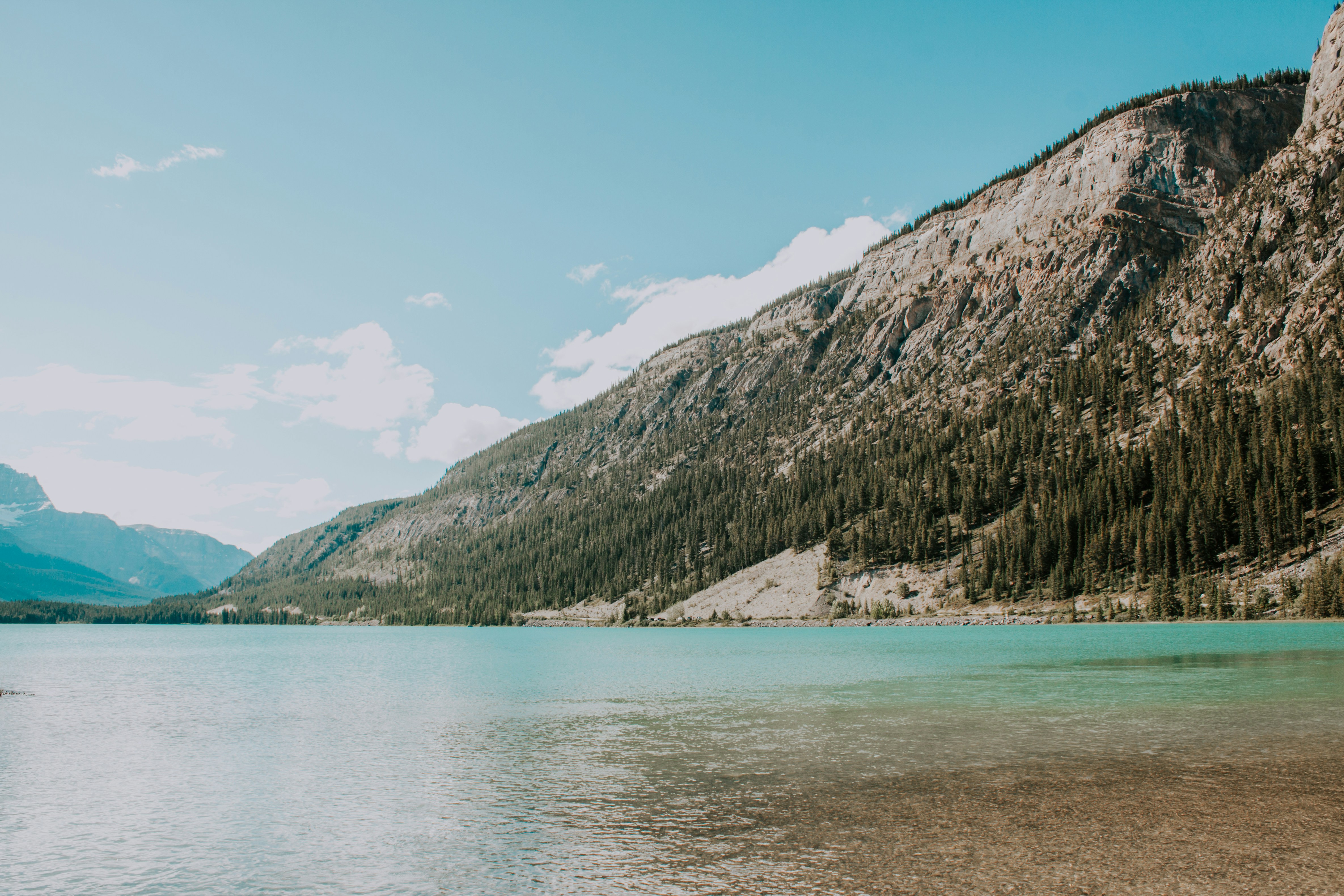 Photo by alexkurchev