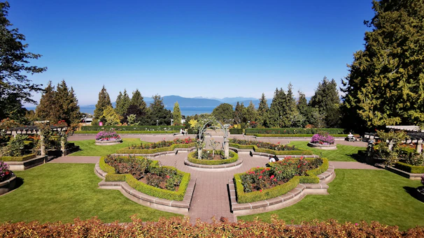 An elegant Dammam villa garden showcasing lush green lawns and decorative palm trees beside a stone pathway.