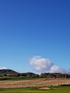 Farmers working together in a vibrant agricultural field under a clear sky.