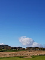 A scenic view of the farm fields under a clear blue sky, highlighting the source of our fresh products.