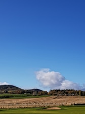 A vibrant farm field showcasing modern agricultural equipment under a clear blue sky.