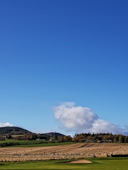 A scenic view of an agricultural field with farmers harvesting crops under a clear blue sky.