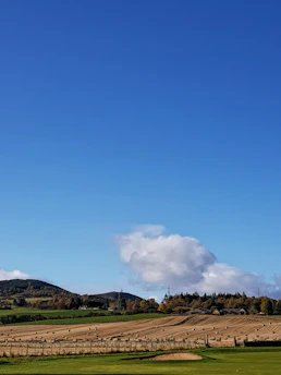 A vibrant farm landscape showcasing circular agriculture practices under a clear blue sky.