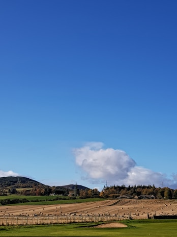 A vibrant farm field showcasing modern agricultural equipment under a clear blue sky.