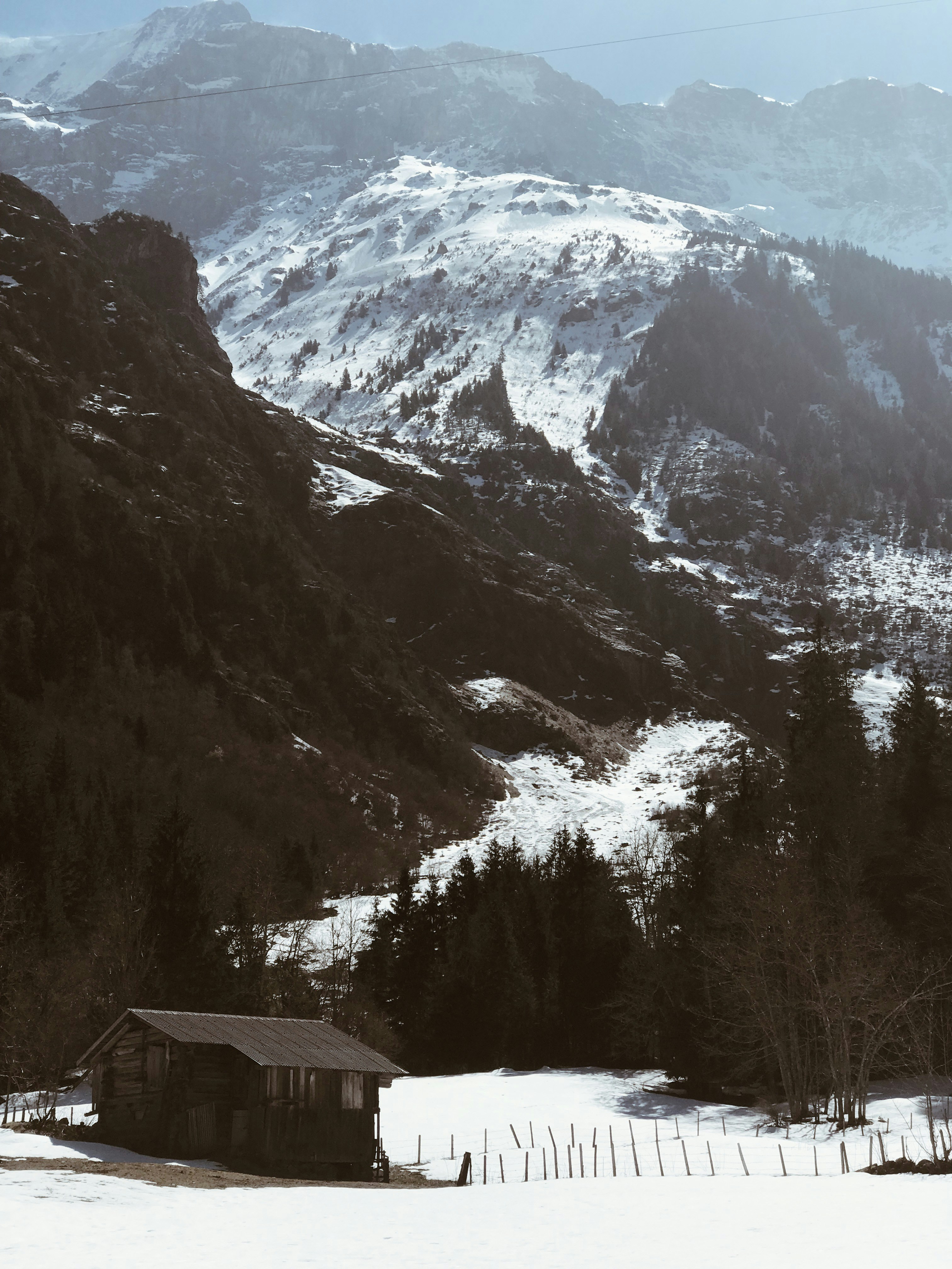 Photo by ramyagiri23