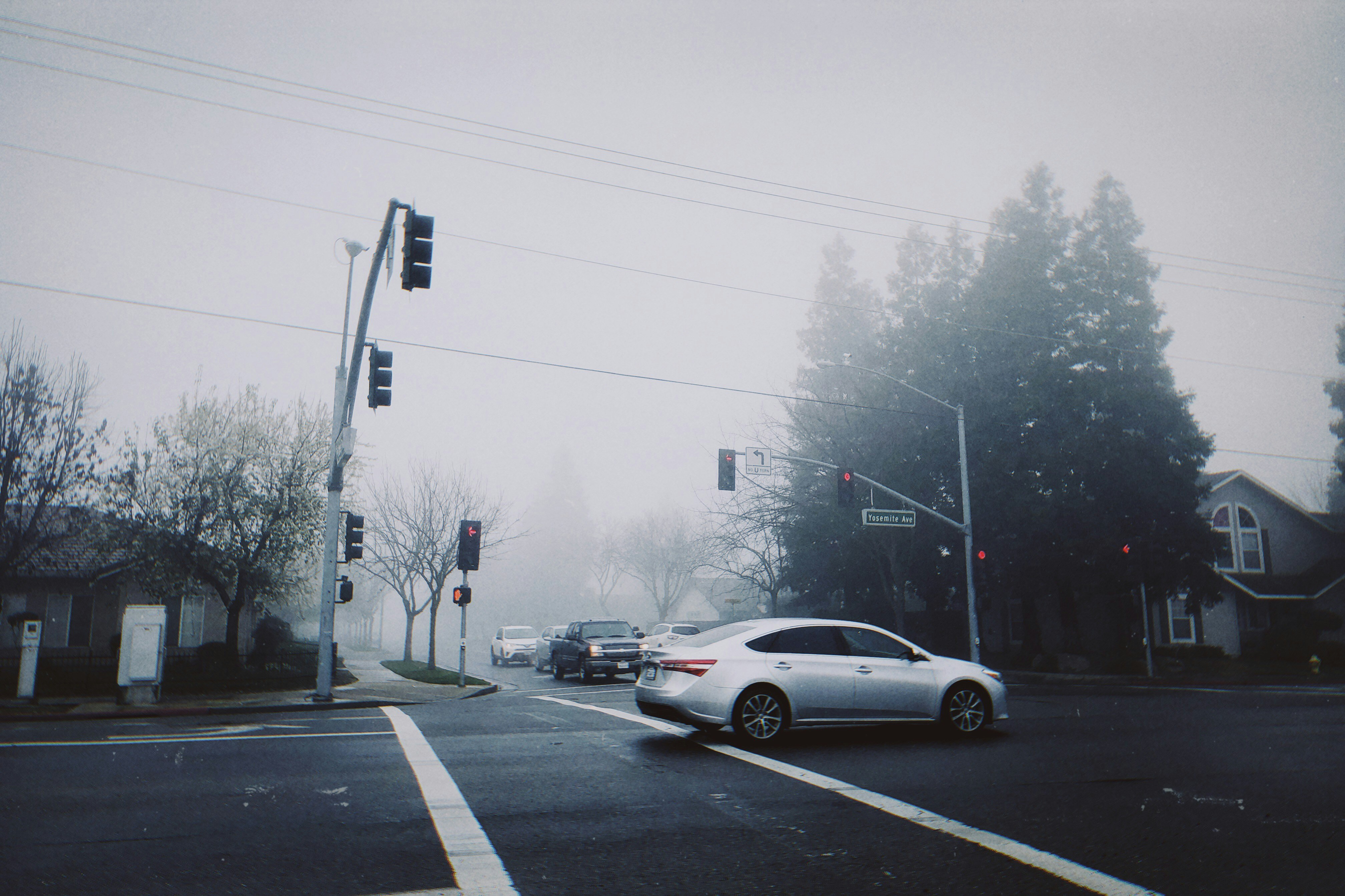 Photo by yaoyuchen