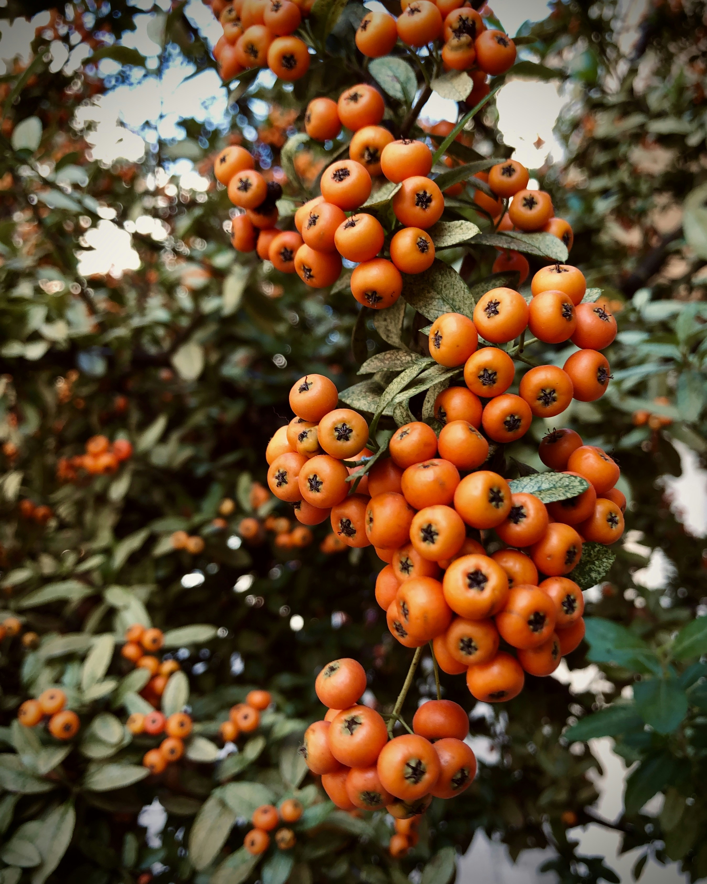 Photo by evnikolasphotography94