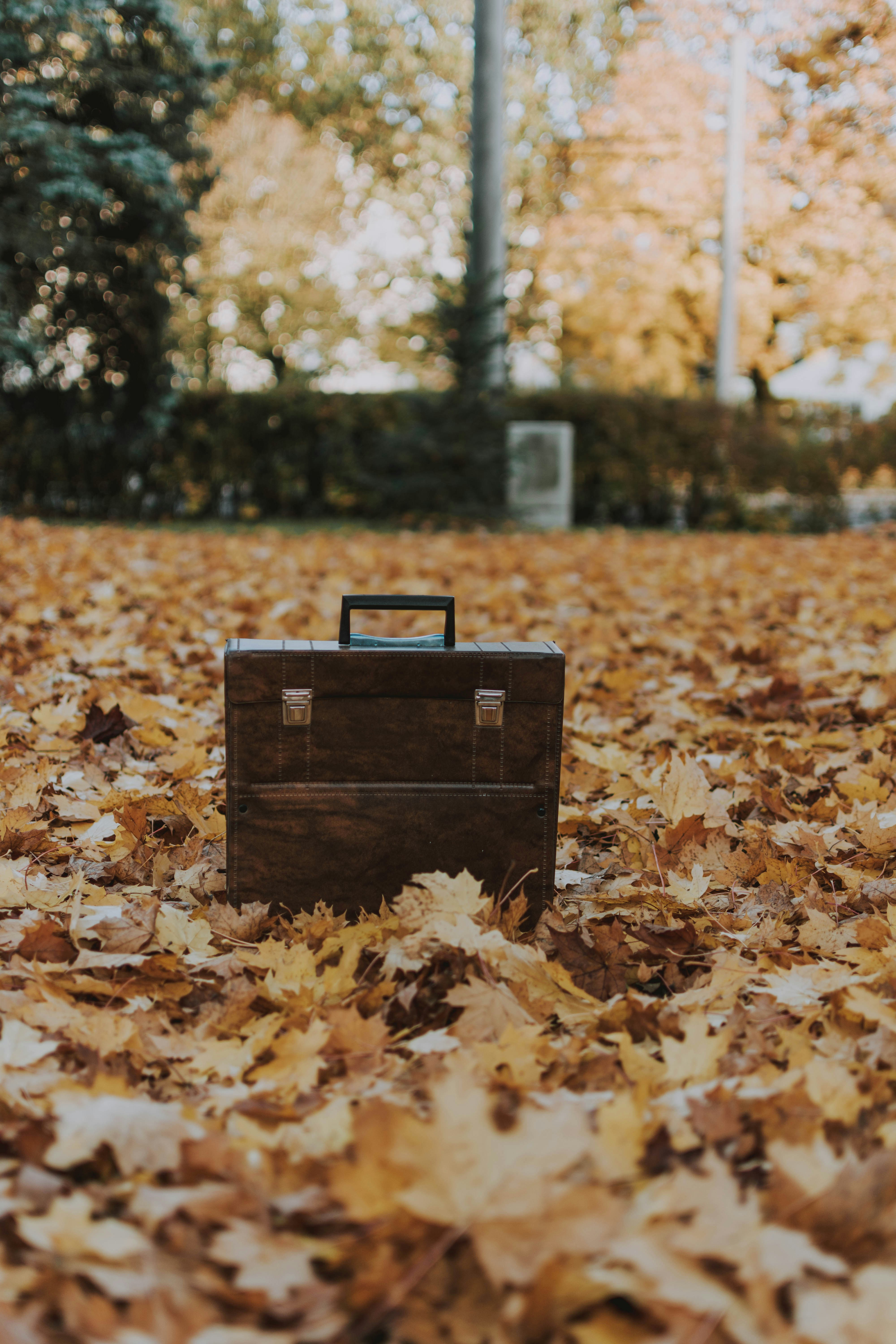 Briefcase Heritage in cognac, three-quarter view