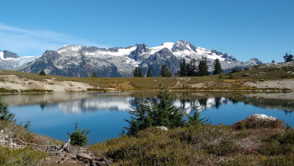 alberi e rocce accanto al lago