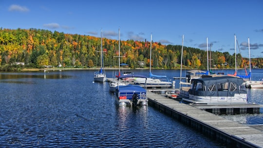 several boats beside docks in Piopolis Canada