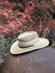 A straw cowboy hat rests on a rusted metal surface with a backdrop of red autumn leaves and dry grass.