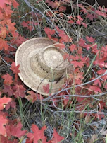 Close-up of a deep green brimora bucket hat resting on a rustic wooden bench surrounded by autumn leaves.