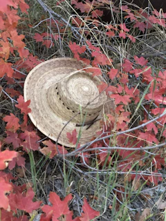 Beige baseball hat resting on a rustic wooden table with autumn leaves scattered around.
