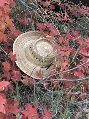 A cozy brimora bucket hat made of warm fabric, placed next to autumn leaves on a park bench.