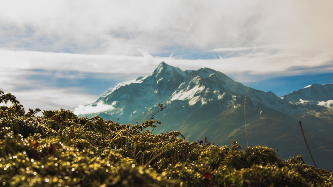 Travel Tips and Stories of La Rosière in France