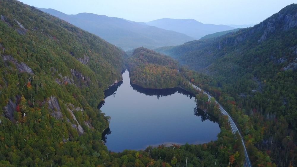 body of water and trees