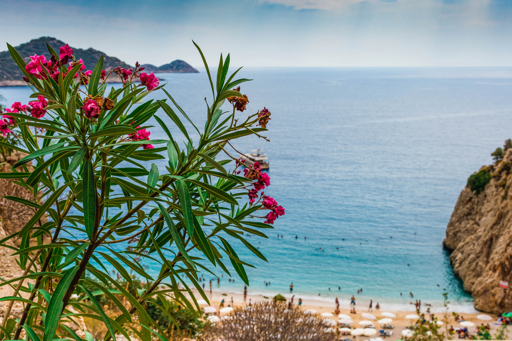 Red blooms with a Kalkan beach view.