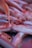 Numerous small fish with orange and pink hues are piled together, their eyes wide open and scales glistening. The fish are closely packed, displaying a mix of sleek bodies and fins.