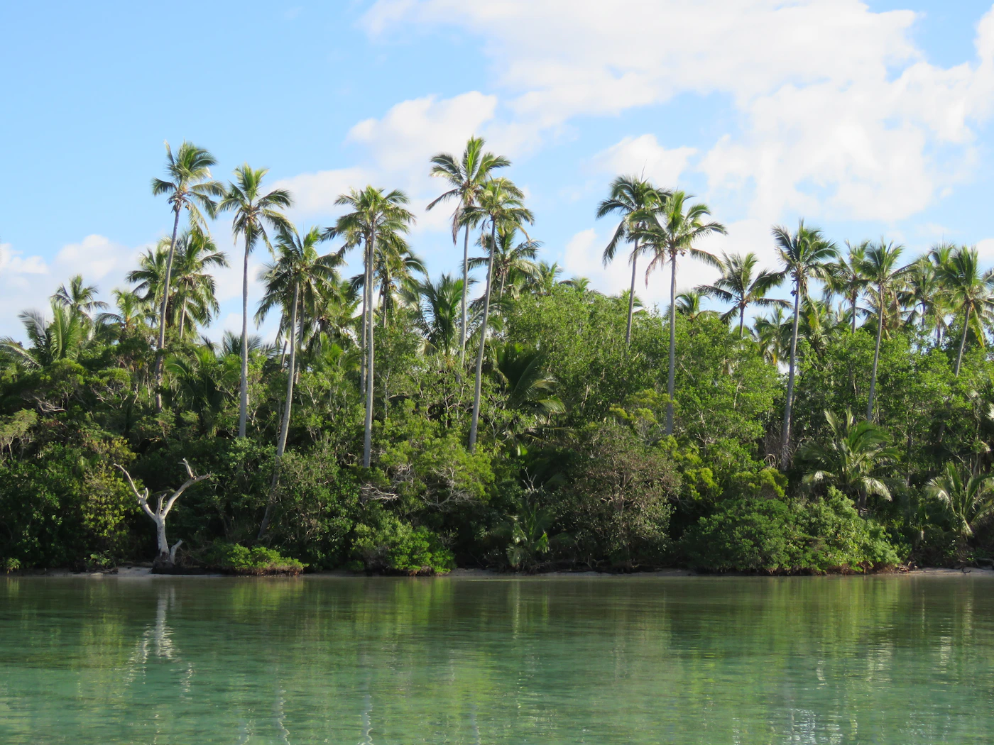 Baie d'Upi, Île des Pins