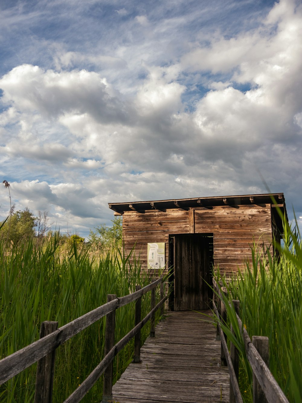 black and brown wooden house