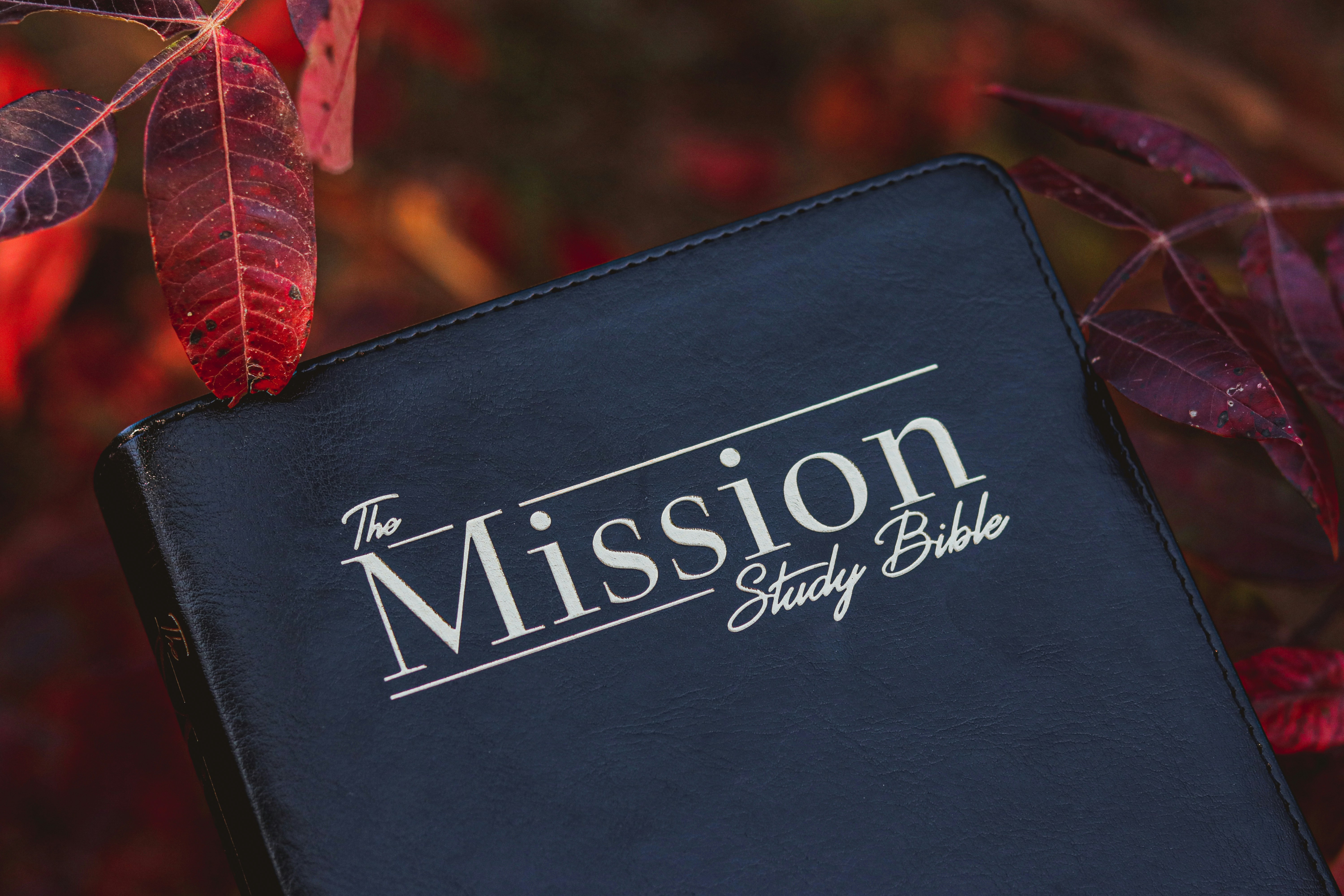 black and white Victoria's Secret leather wallet