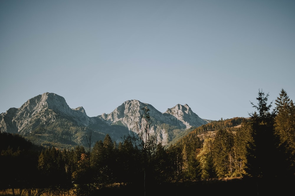 White And Black Mountain Painting Photo Free Nature Image On Unsplash