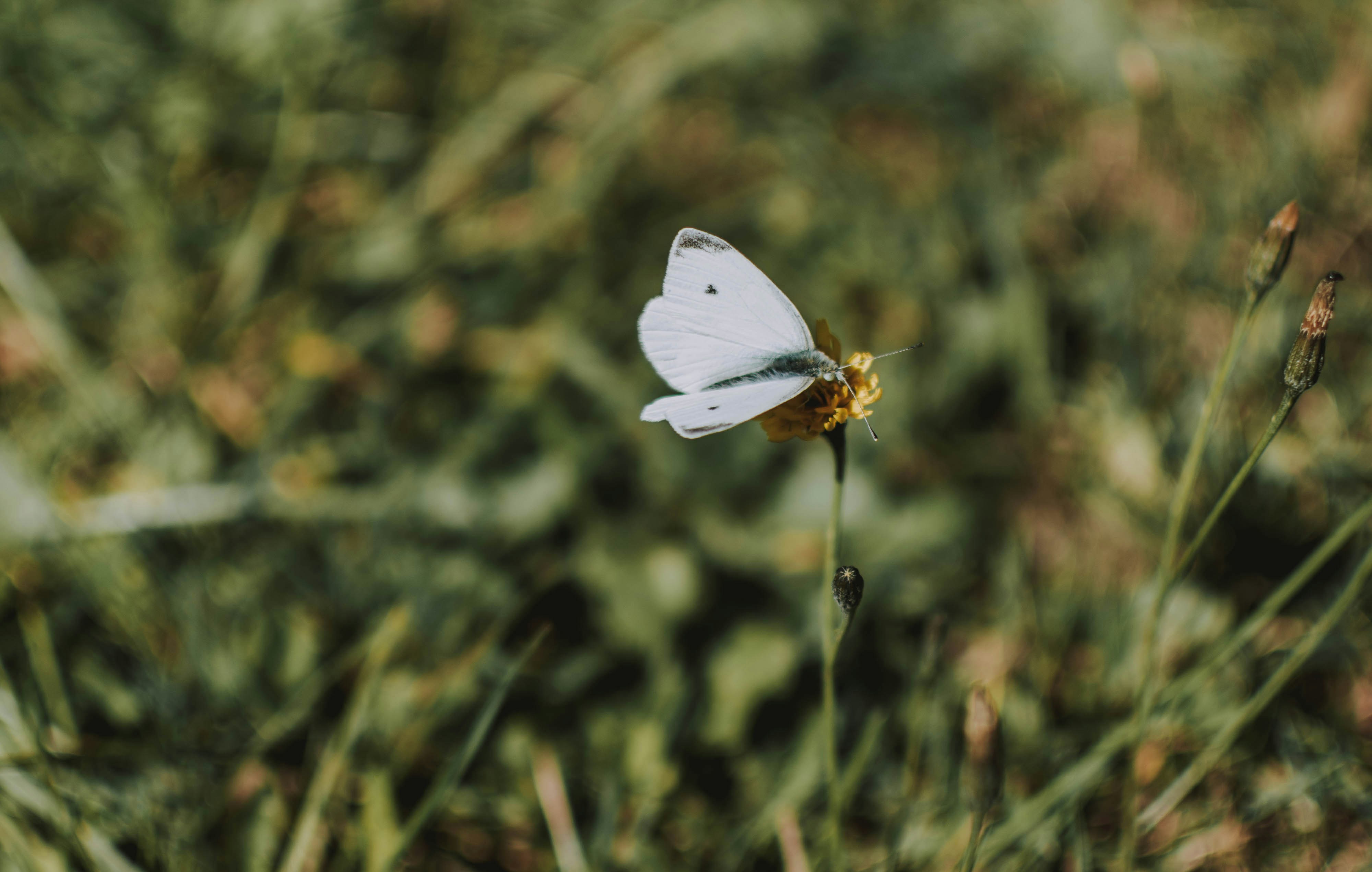Photo by lilartsy