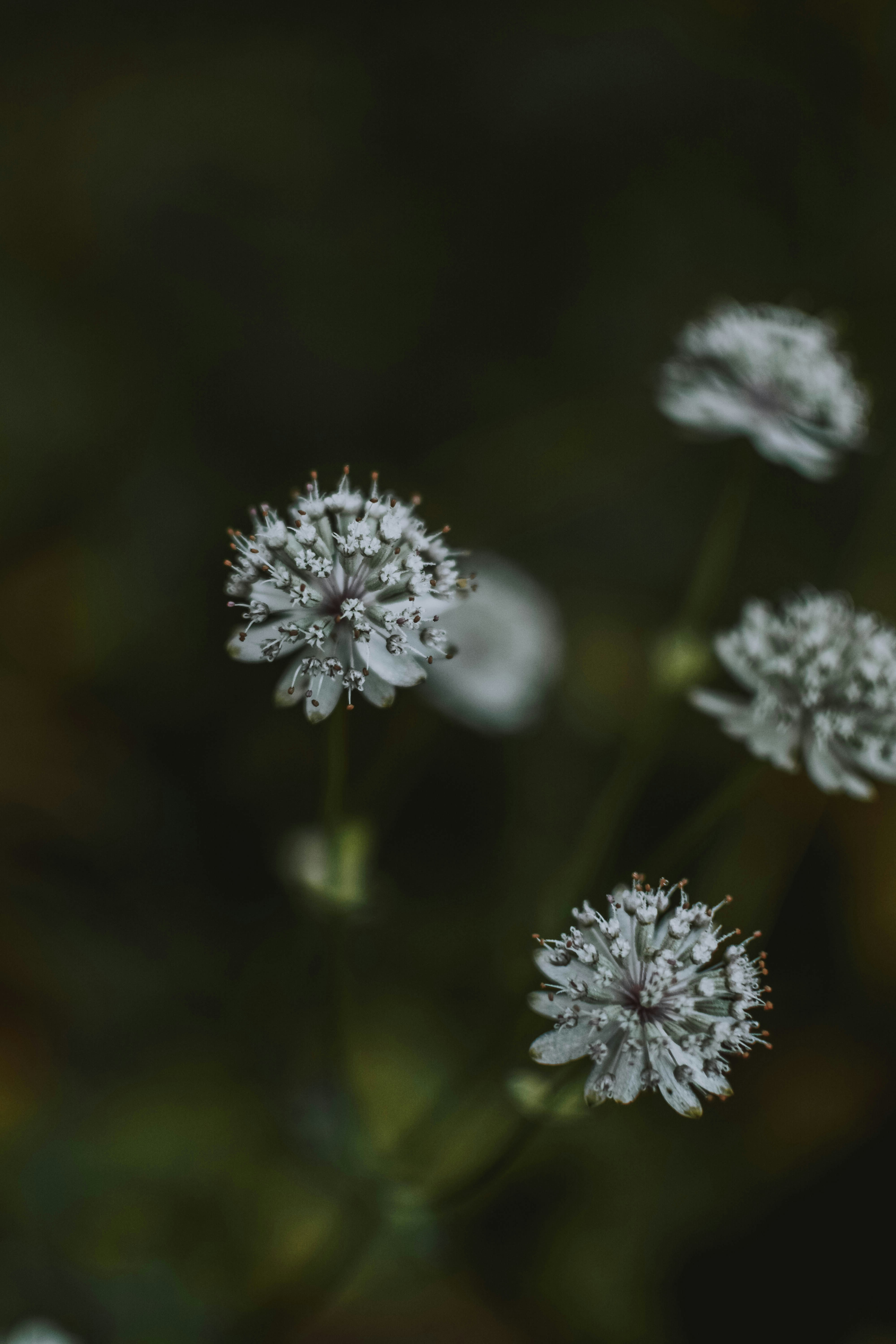 Photo by lilartsy