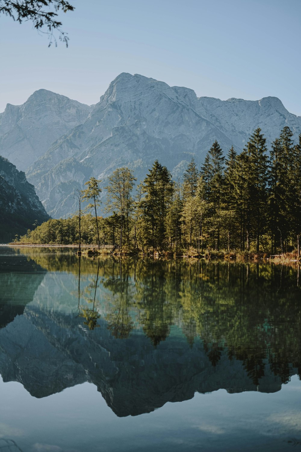 body of water and trees