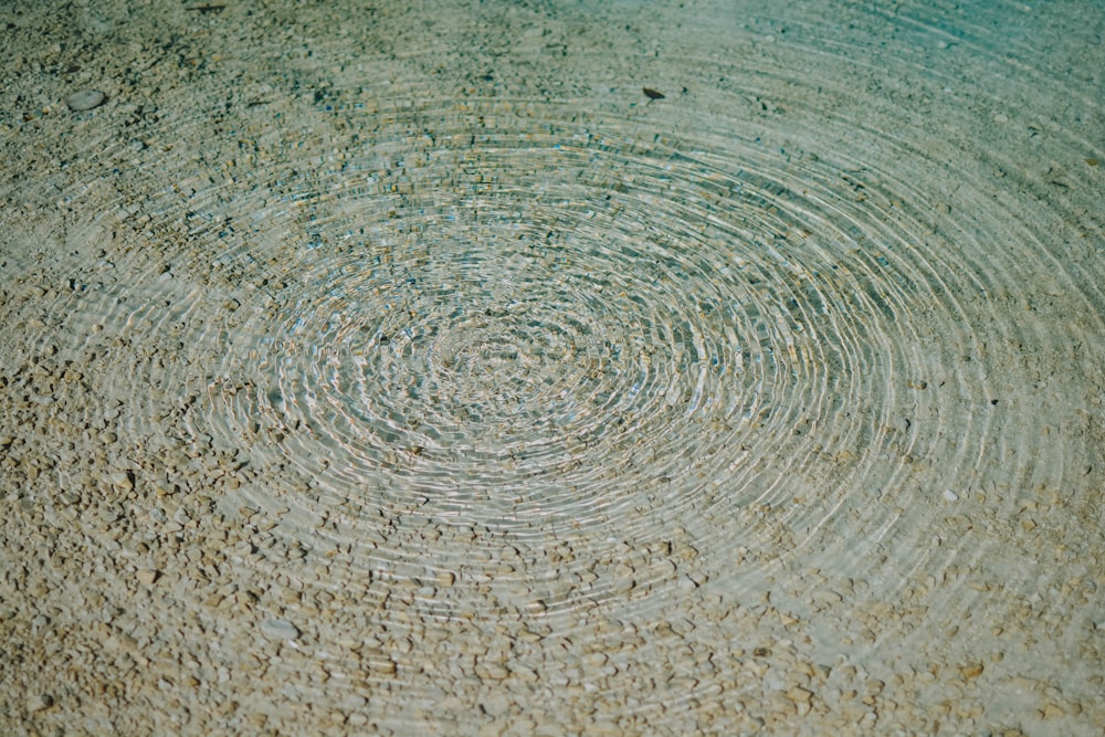 round white and brown area rug