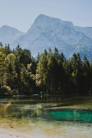 A serene mountain lake with crystal-clear water and pine trees surrounding it.