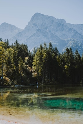 A peaceful landscape featuring a clear alpine lake surrounded by dense pine forests. In the background, a majestic mountain range rises under a clear sky.