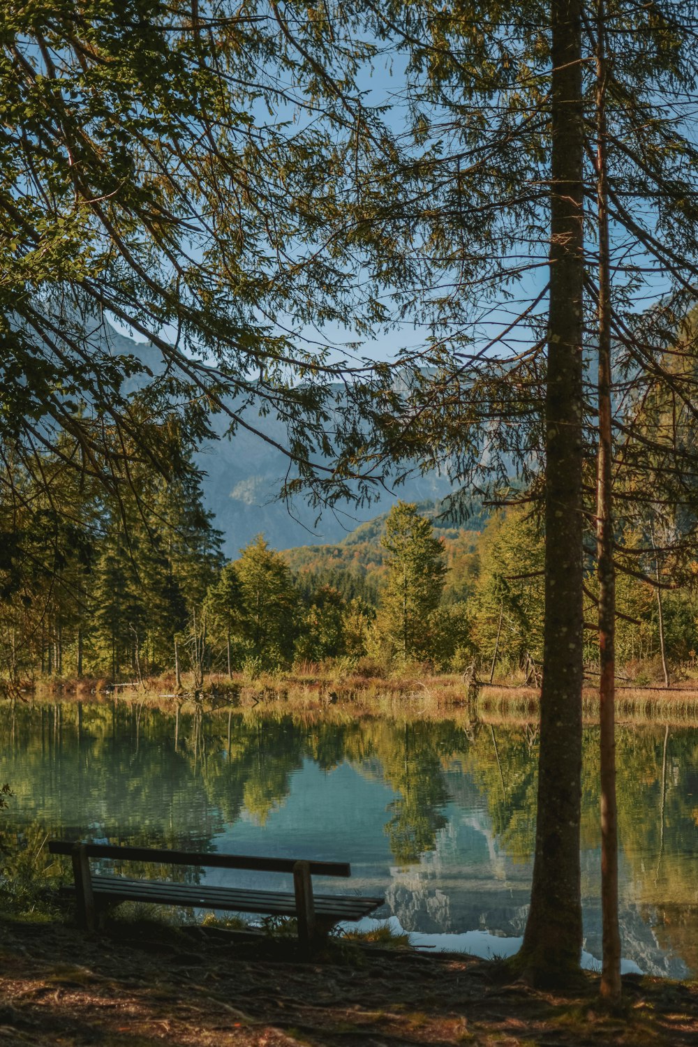 a bench sitting next to a lake surrounded by trees